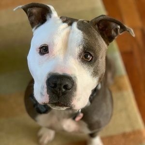 Meet your Posher, Lori